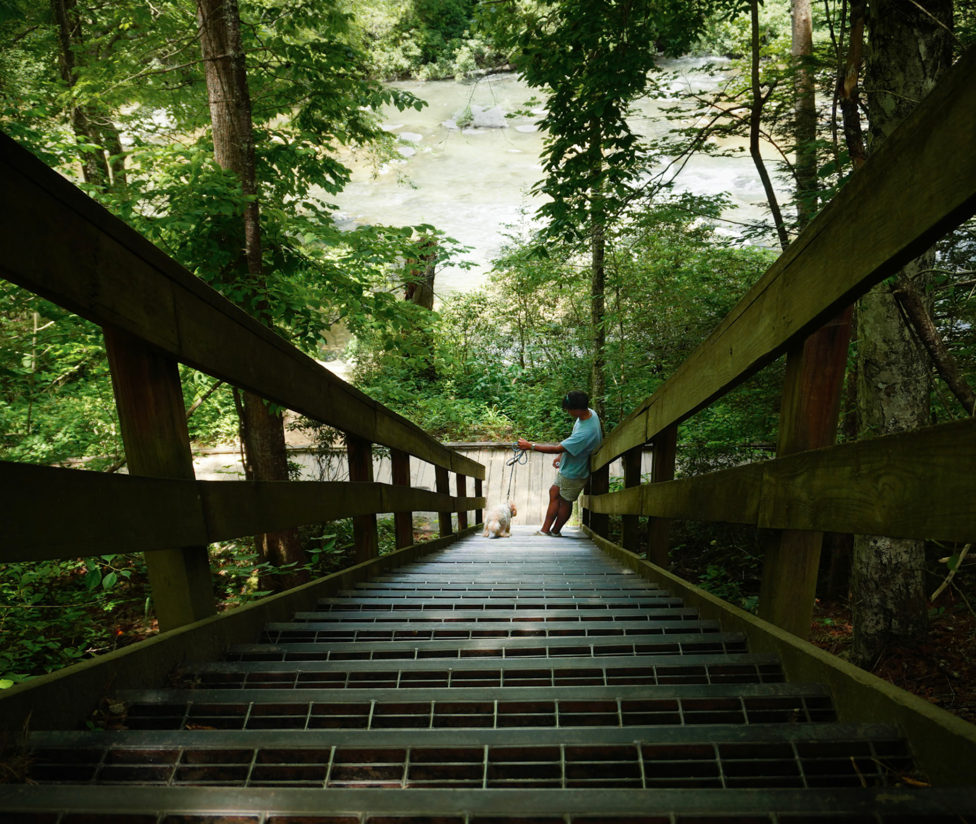 Wooden stairway descending to a riverside bridge where a man walks his dog