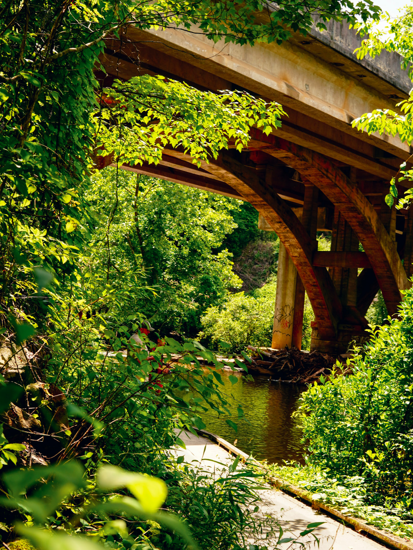 Sunlit creek flowing beneath an arched concrete bridge framed by green North Georgia foliage