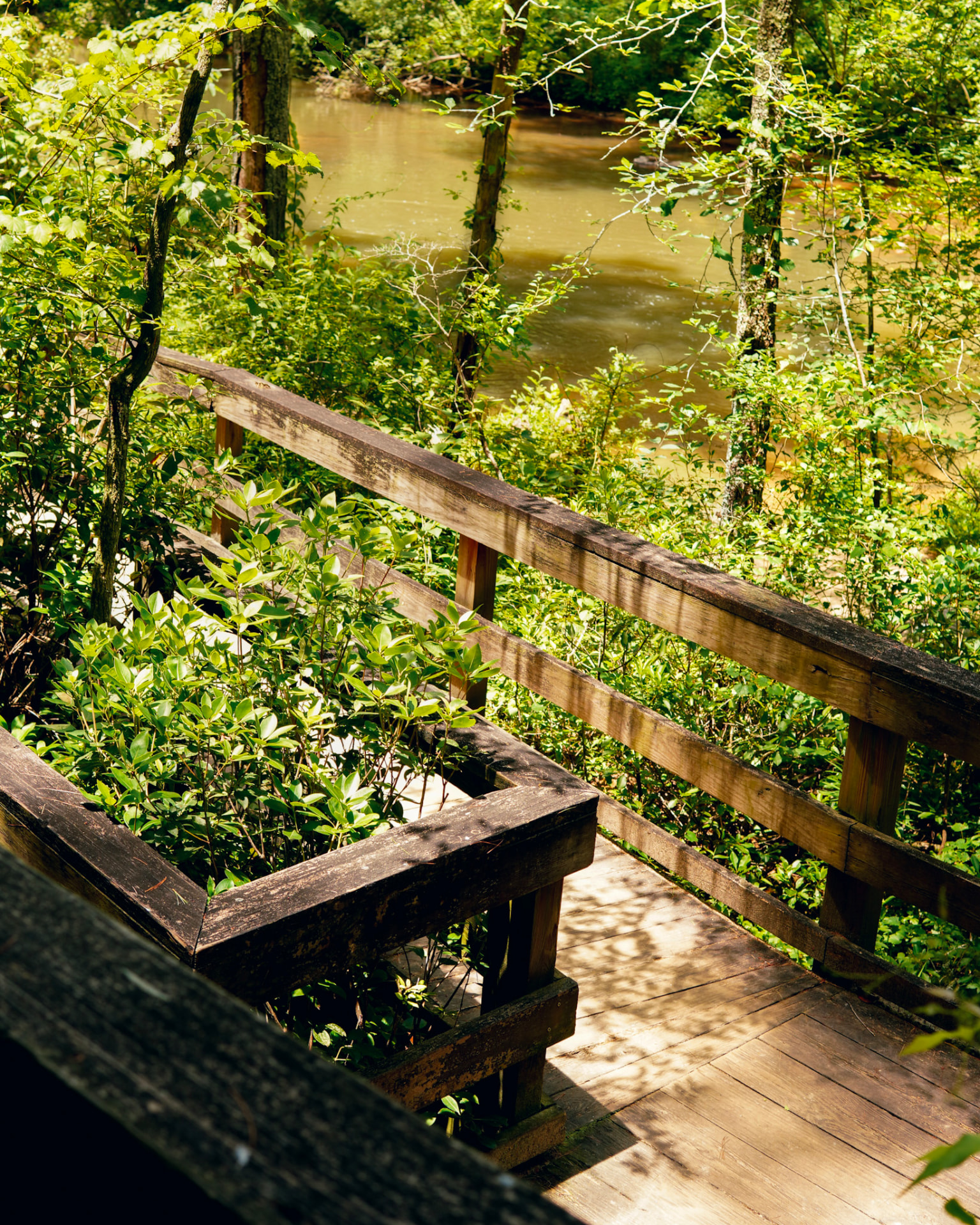 Weathered wooden railing overlooking a river through the trees