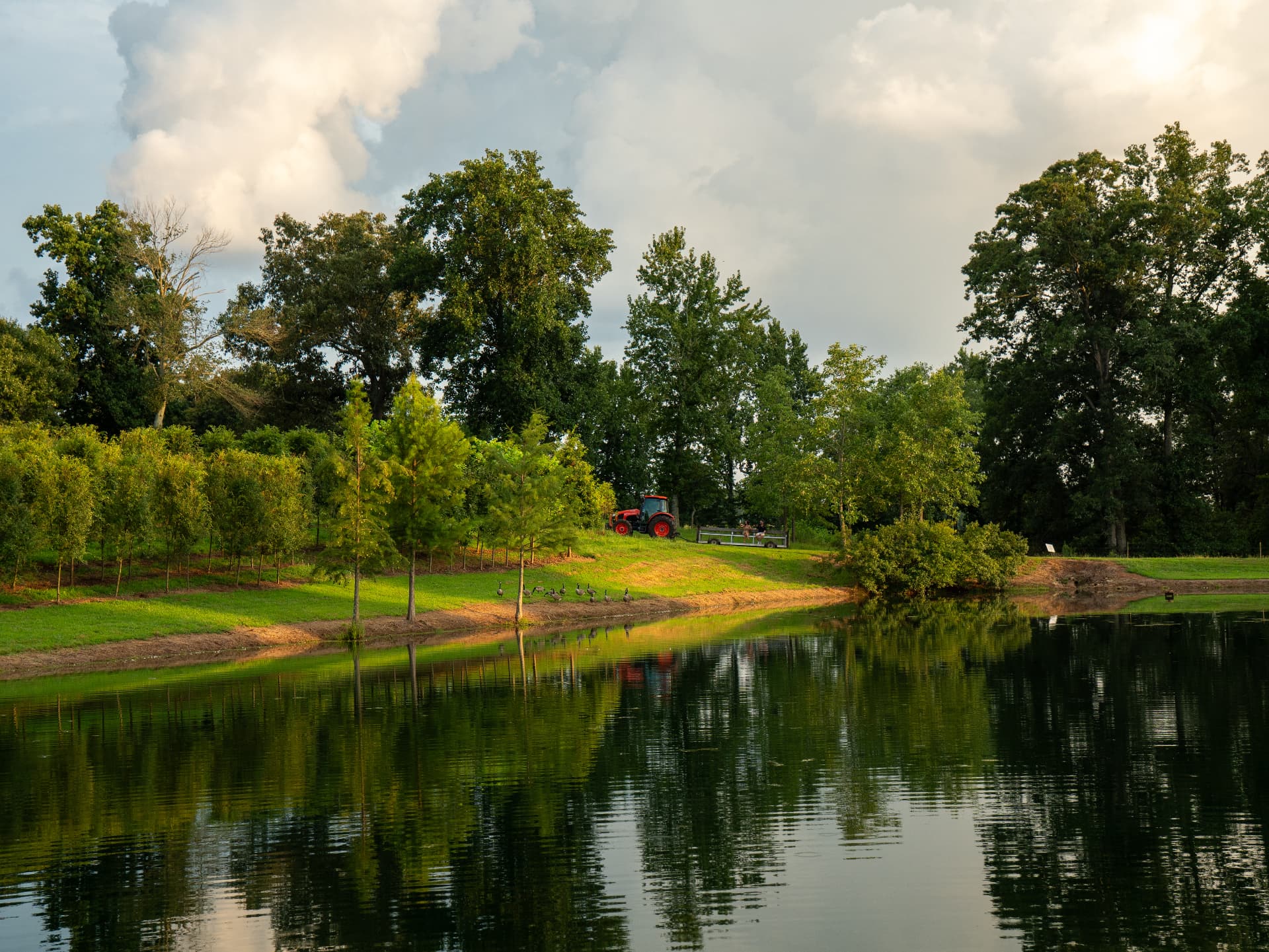 Tractor beside a pond framed by summer trees and soft clouds