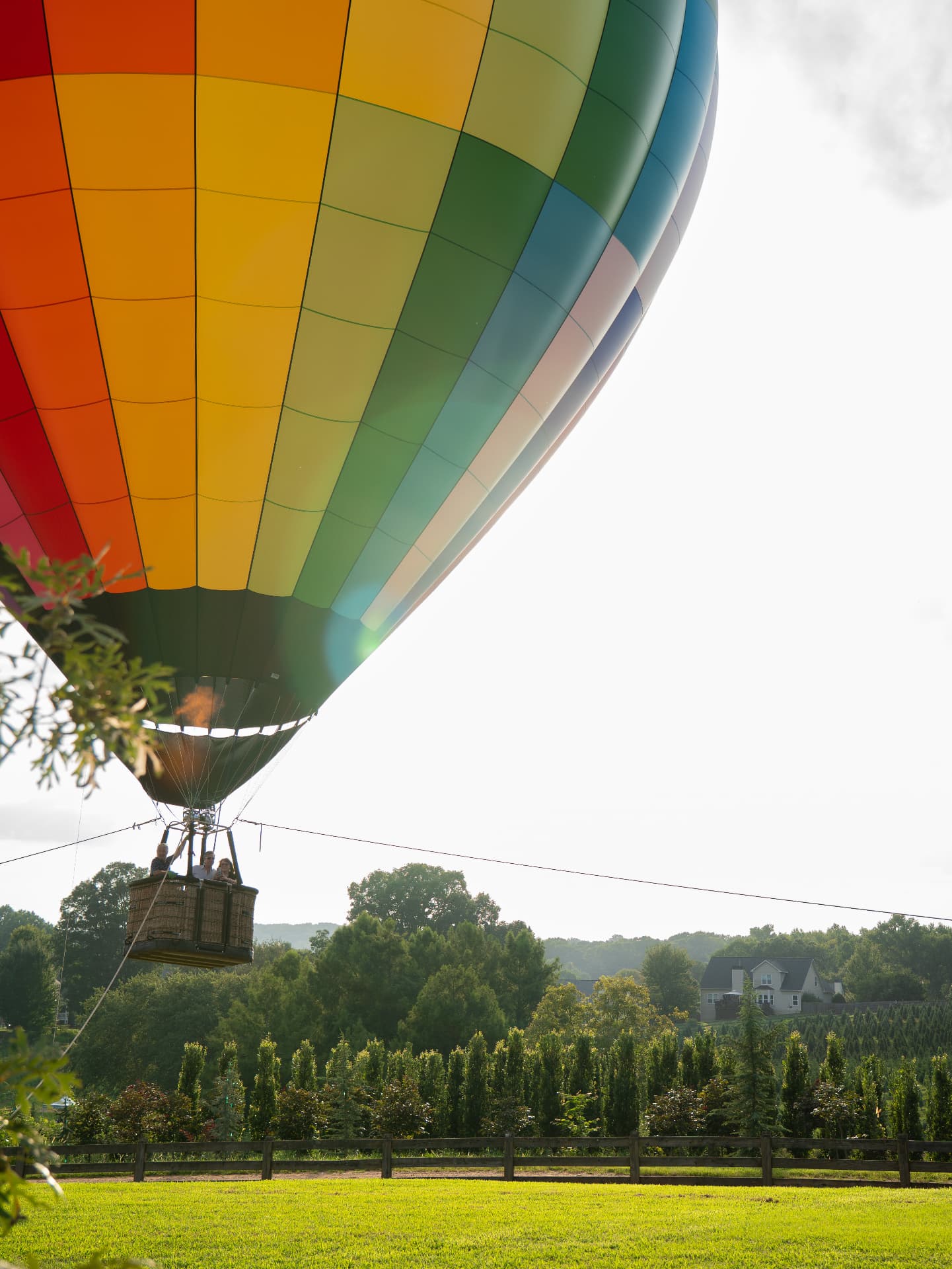 Colorful hot air balloon drifting low over a North Georgia tree farm