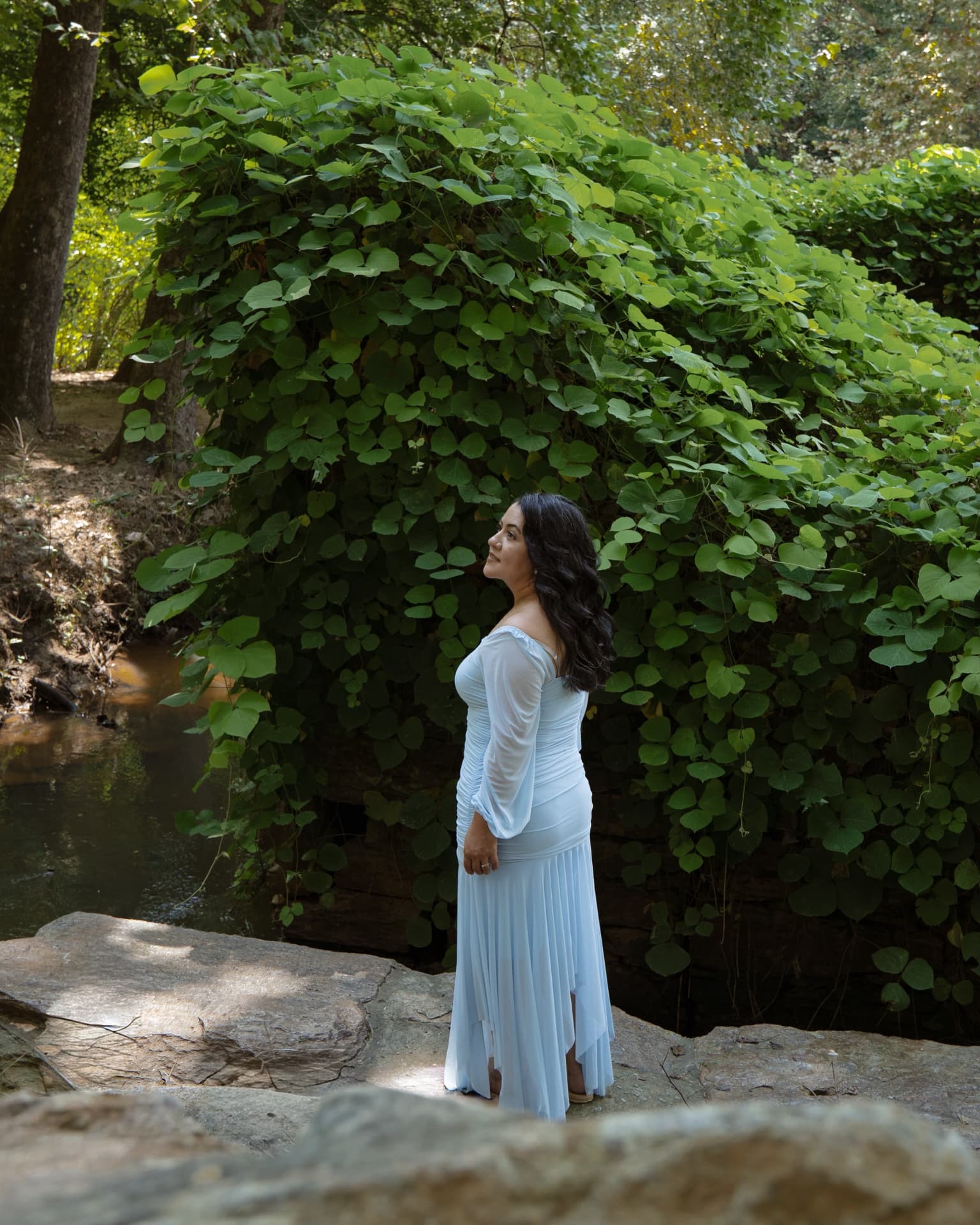 Woman in a blue gown standing on a rock beside a creek framed by green vines