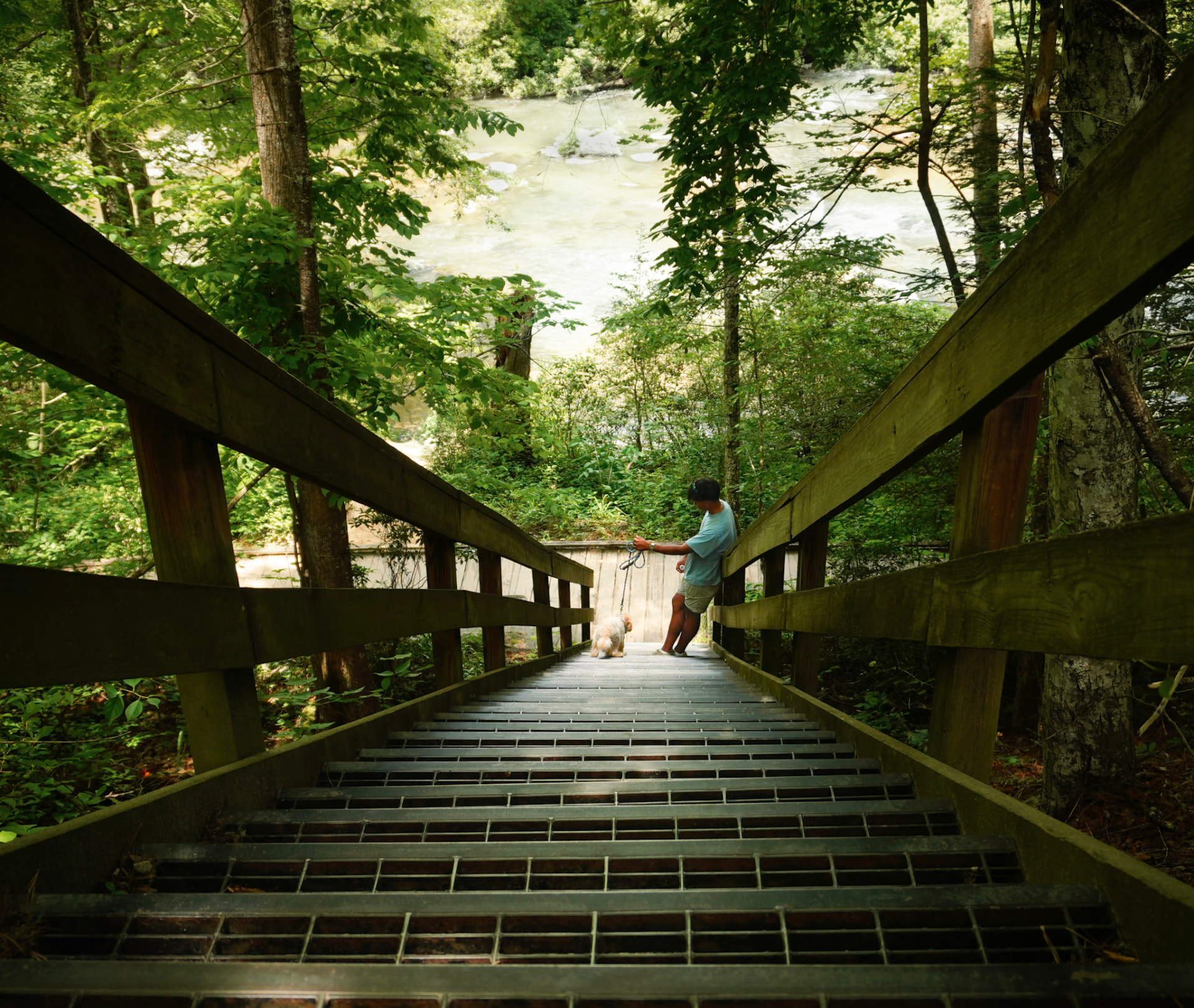 Man with a small dog on a wooden footbridge above a rushing forest river in North Georgia