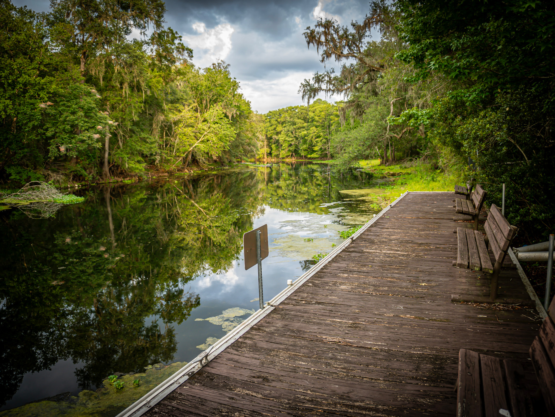 Wooden dock along a still river reflecting clouds and cypress trees